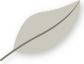 themes/ductile/img/logo.png