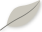themes/ductile/img/logo.png